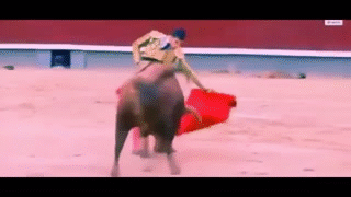 Serious_accident_Bull_s_horn_through_the_neck_of_the_matador_and_threw_him_into_the_air_2015
