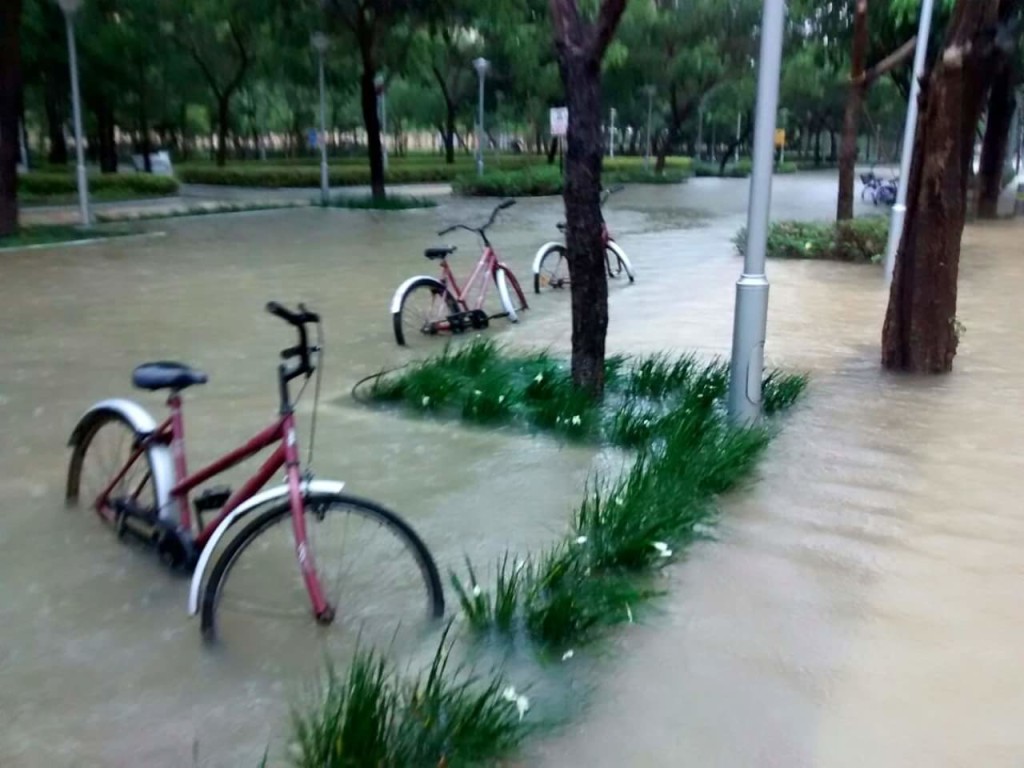infosys-chennai-flooded
